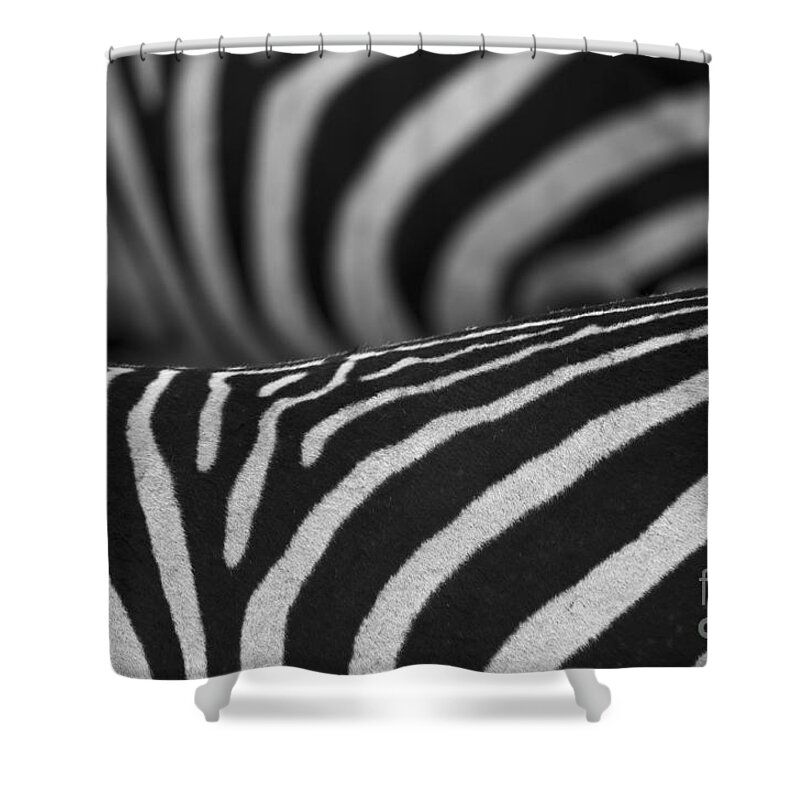 Festblues Shower Curtain featuring the photograph Double Vision... by Nina Stavlund