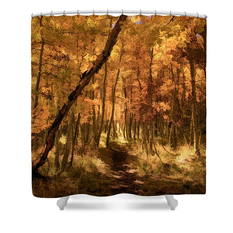 June Lake Shower Curtain featuring the photograph Down the Golden Path by Donna Kennedy