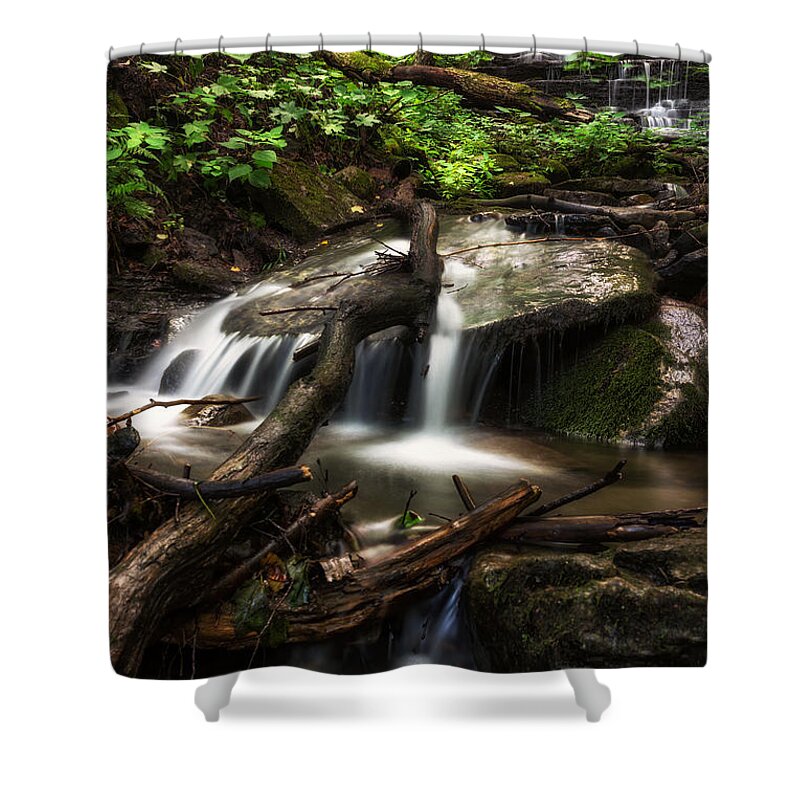 Office Decor Shower Curtain featuring the photograph Downstream by Mark Papke