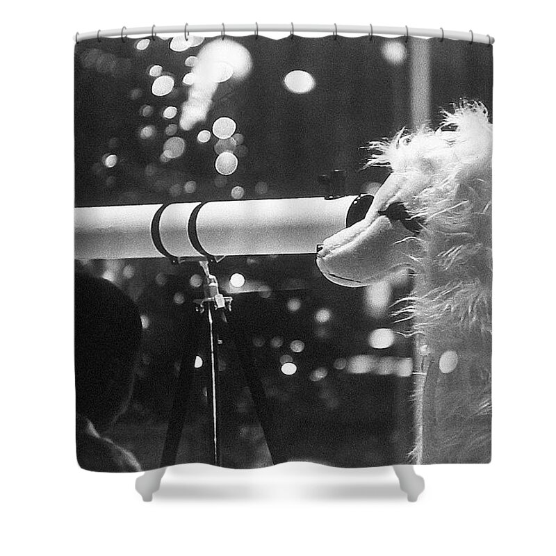 Downtown Tucson Arizona Store Window Christmas 1967 Shower Curtain featuring the photograph Downtown Tucson Arizona Store Window Christmas 1967 by David Lee Guss