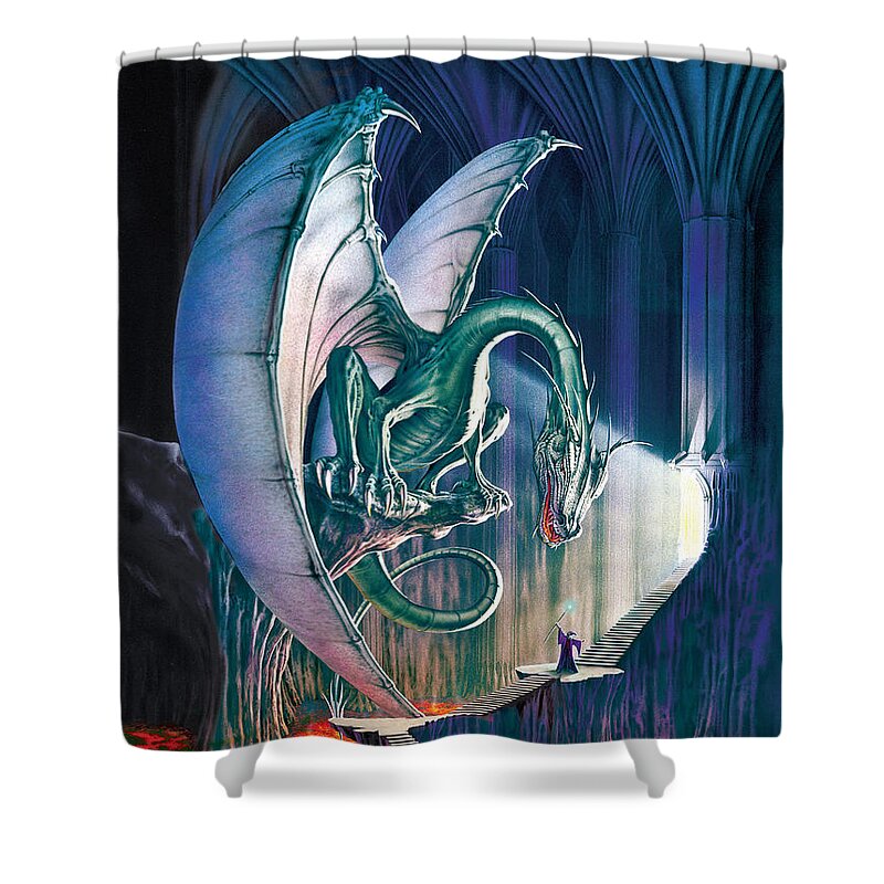 Dragon Shower Curtain featuring the photograph Dragon Lair With Stairs by MGL Meiklejohn Graphics Licensing