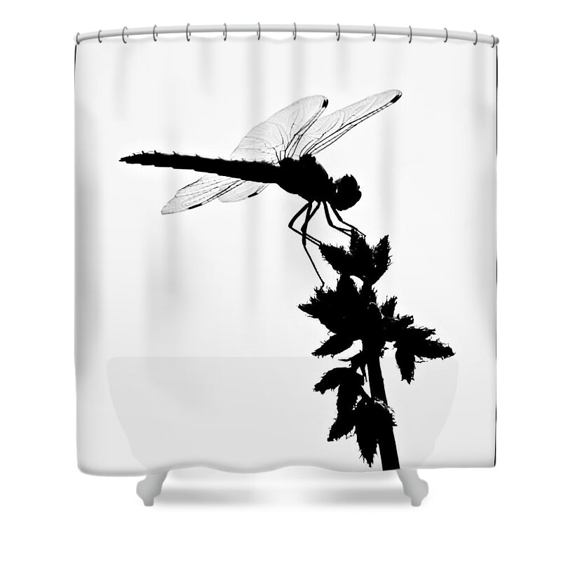 Dragonfly Silhouette Shower Curtain featuring the photograph Dragonfly Silhouette by Christina Ochsner