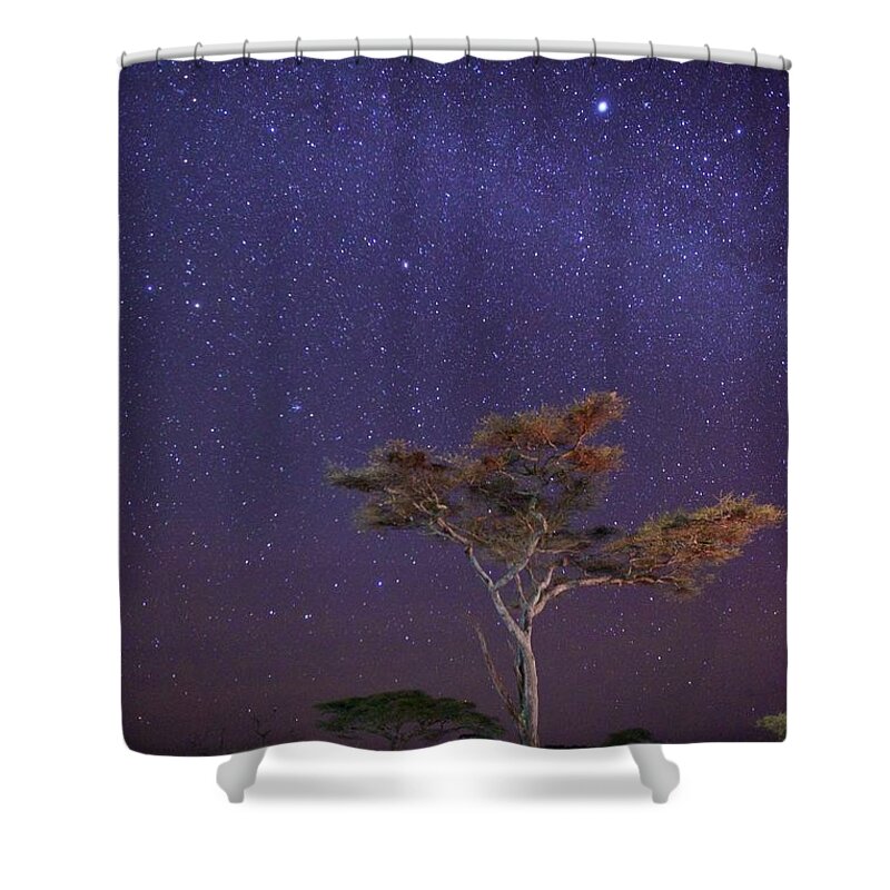 Scenics Shower Curtain featuring the photograph Dreaming In Tanzania by Shaadi Faris