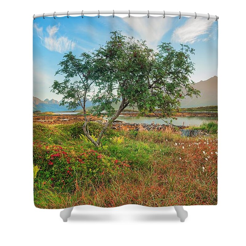 Land Shower Curtain featuring the photograph Dreamlike by Maciej Markiewicz