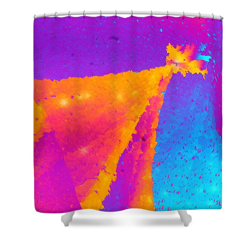 Crystals Shower Curtain featuring the photograph Dreams I'll Never See by Hodges Jeffery