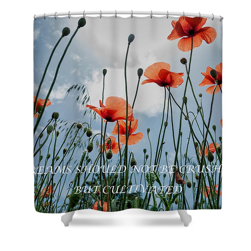 Quote Shower Curtain featuring the photograph Dreamy flowers by Mike Santis