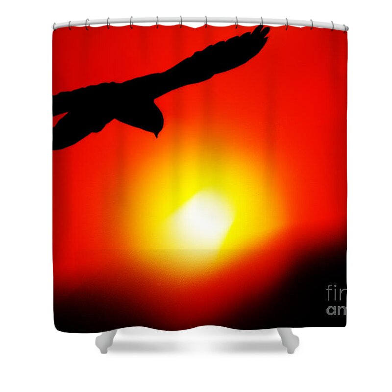 Sunset Shower Curtain featuring the painting Drifting by Neil Finnemore