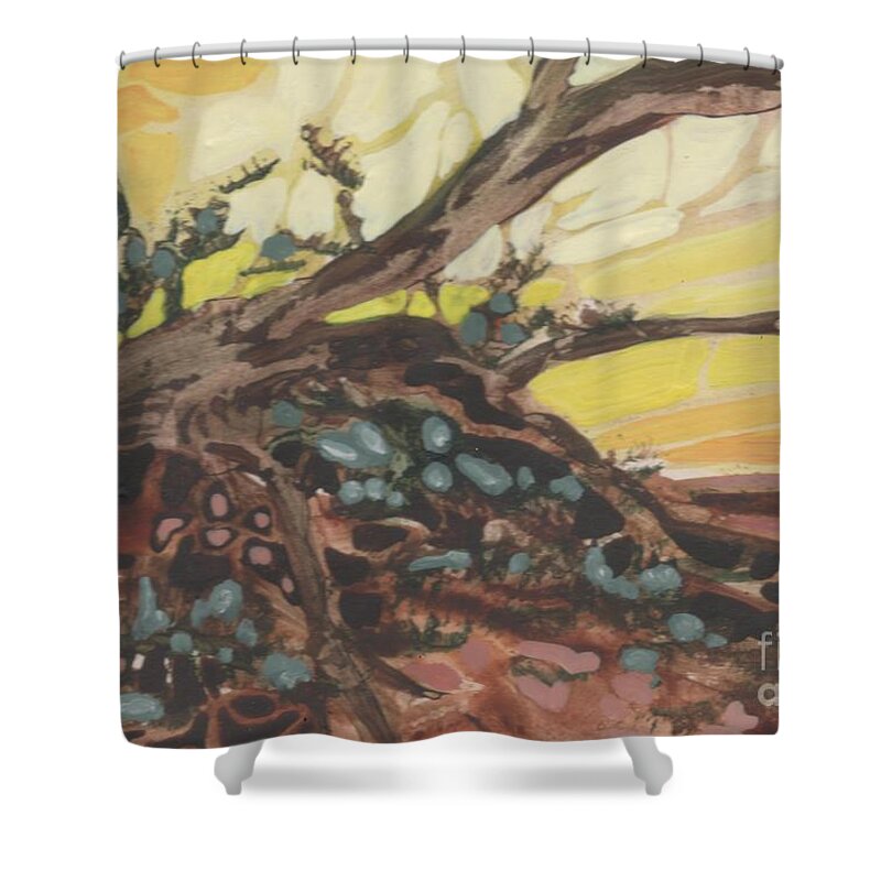 Sunset Shower Curtain featuring the painting Driftwood by Joan Clear
