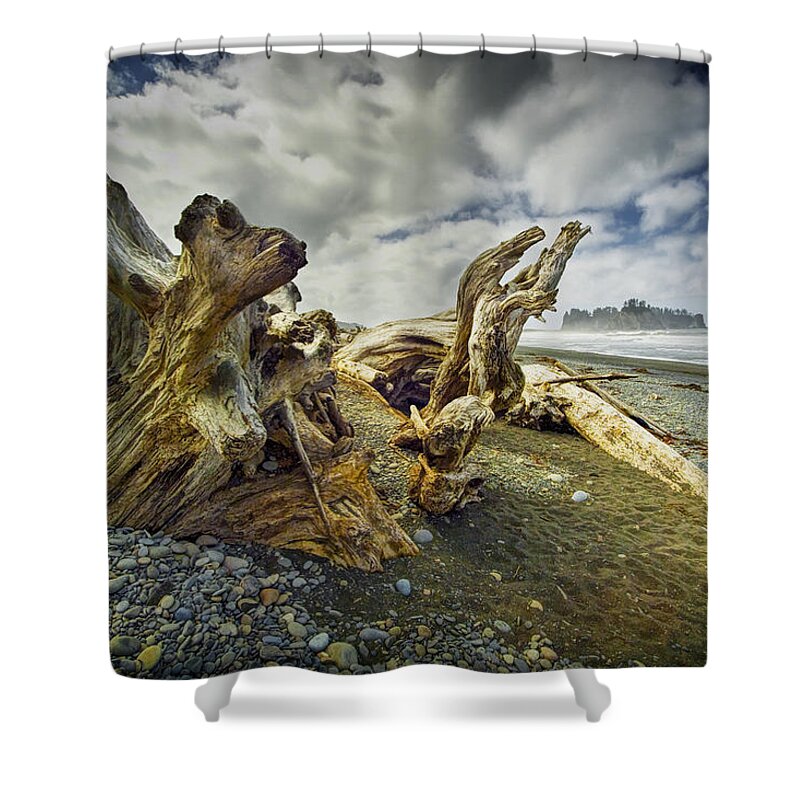 Art Shower Curtain featuring the photograph Driftwood on Rialto Beach by Randall Nyhof