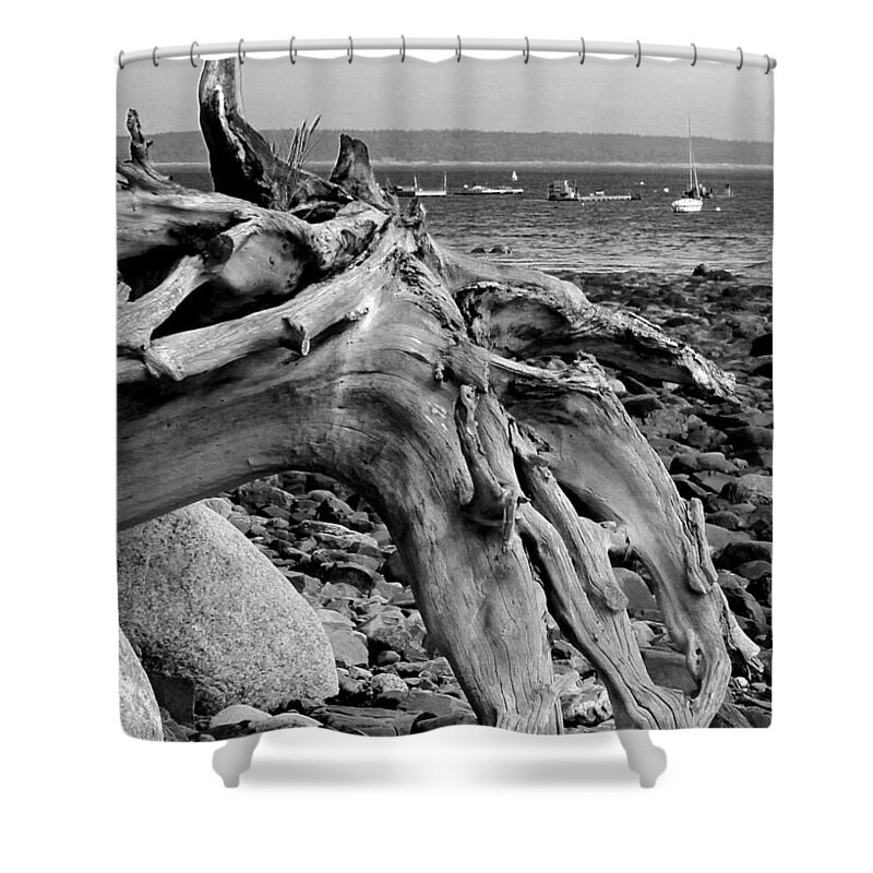 Driftwood On Rocky Beach Shower Curtain featuring the photograph Driftwood on Rocky Beach by Jemmy Archer