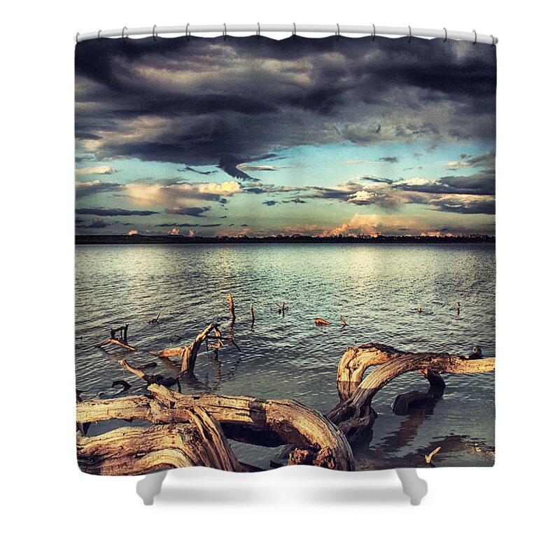  Driftwood Shower Curtain featuring the photograph Driftwood by Stelios Kleanthous