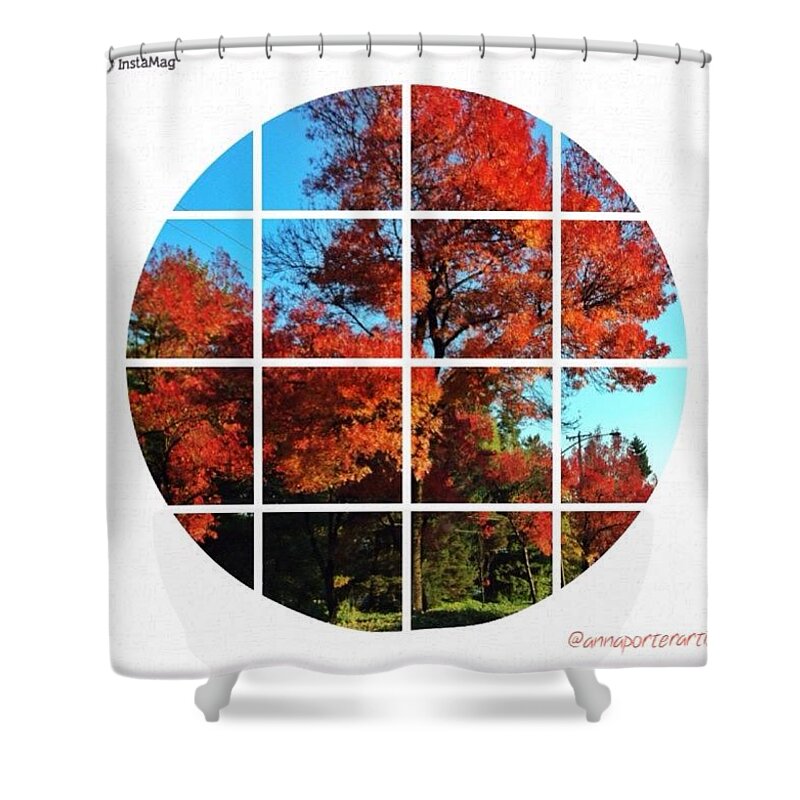 Leaveschangingcolor Shower Curtain featuring the photograph Drive-by Fall Color, John's Landing by Anna Porter