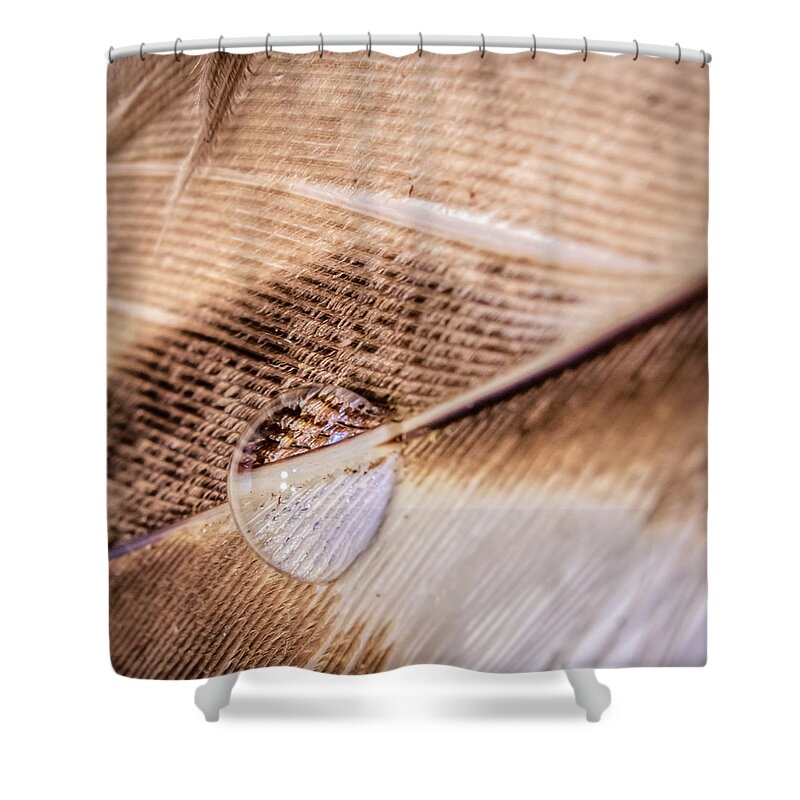 Light Shower Curtain featuring the photograph Droplet On A Quill by Traveler's Pics