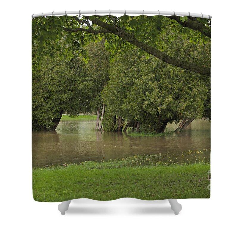 Ellison Park Shower Curtain featuring the photograph Drowning Trees by William Norton