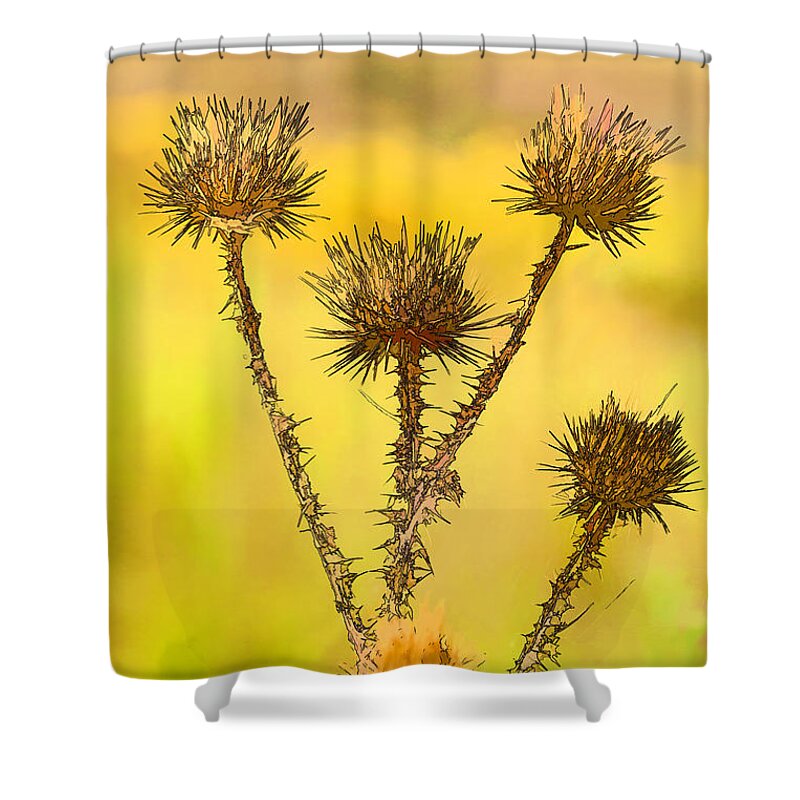 Wildflower Shower Curtain featuring the photograph Dry Brown Thistle by Jerry Nettik