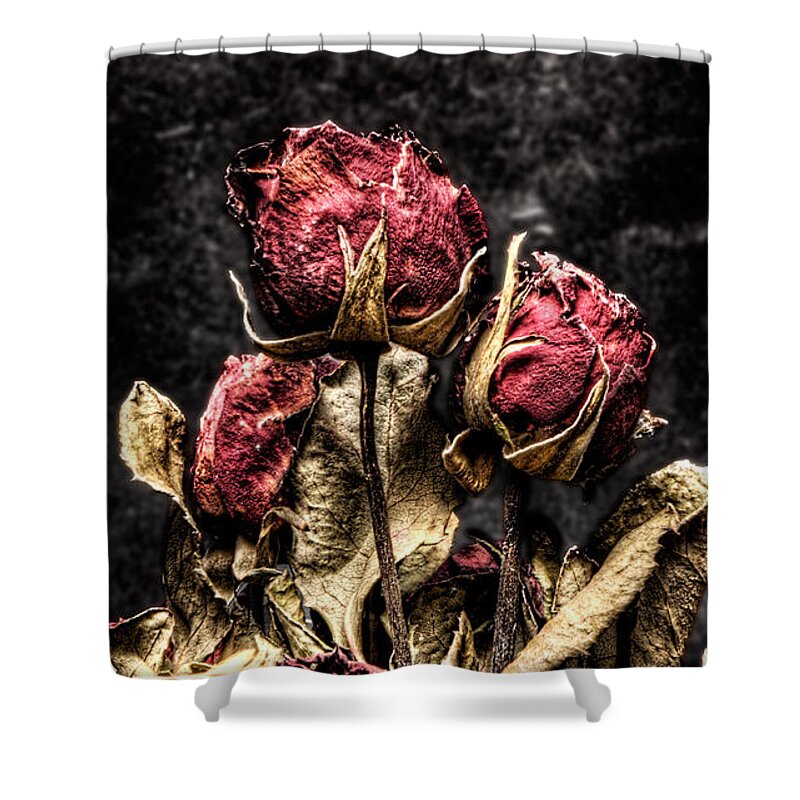 Dry Roses Shower Curtain featuring the photograph Dry Roses In Black by Weston Westmoreland