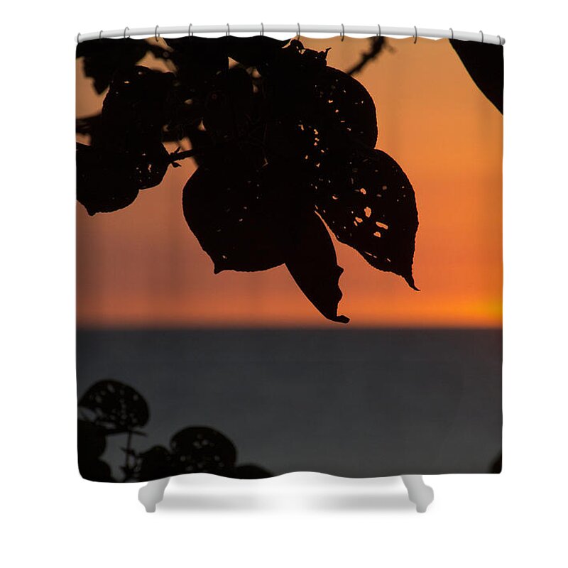 Dry Season Sunset Shower Curtain featuring the photograph Dry Season Sunset by Douglas Barnard