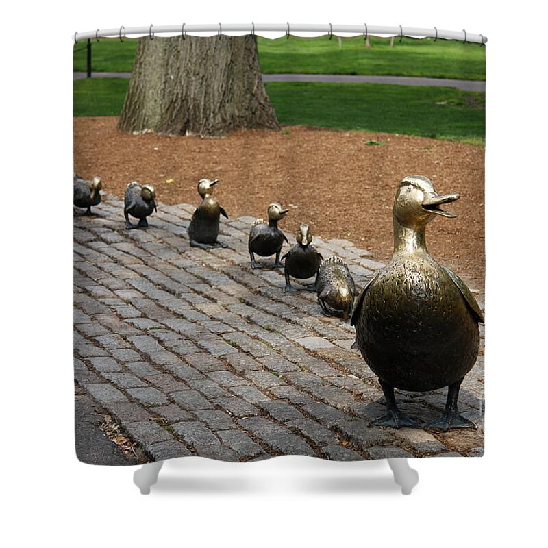 Ducklings Shower Curtain featuring the photograph Ducklings by Christiane Schulze Art And Photography
