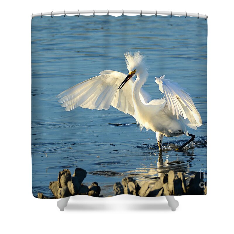 Egret Shower Curtain featuring the photograph Dusk In The Salt Marsh by Kathy Baccari