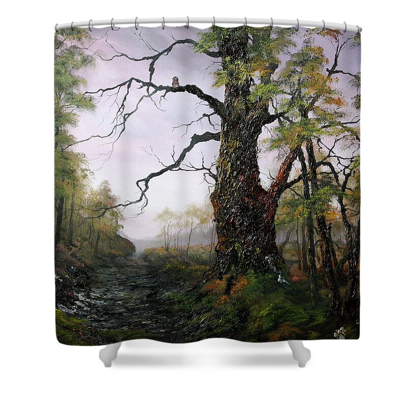 Cannock Chase Shower Curtain featuring the painting Dusk on Canncok Chase by Jean Walker