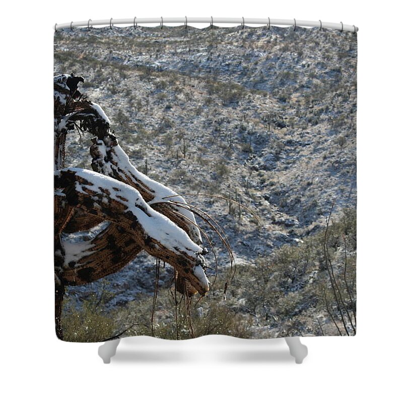 Snow Shower Curtain featuring the photograph Dusted by David S Reynolds