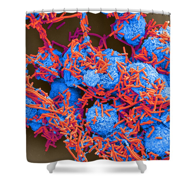 Science Shower Curtain featuring the photograph E Coli And Macrophages Sem by Science Source