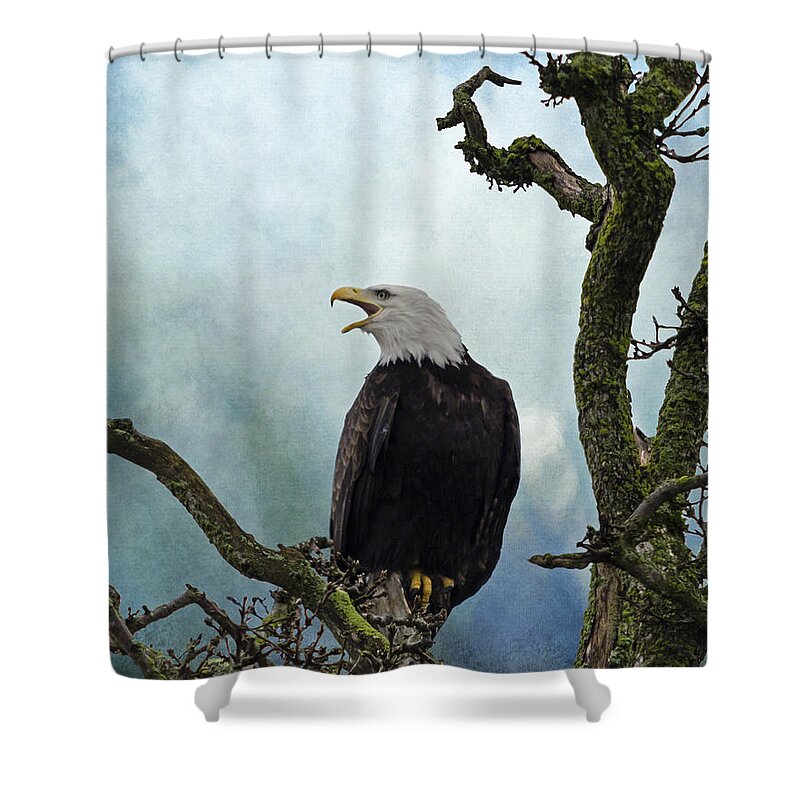 Character Shower Curtain featuring the photograph Eagle Art - Character by Jordan Blackstone