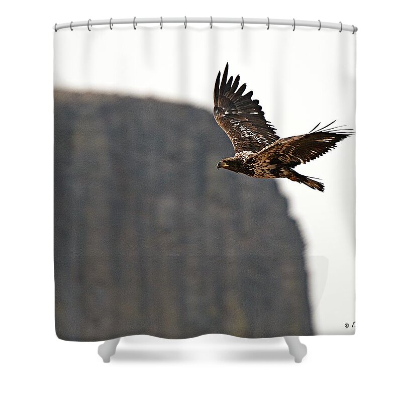 Eagle Flyby Devils_tower Juvenile Shower Curtain featuring the photograph Eagle FlyBy by Fiskr Larsen