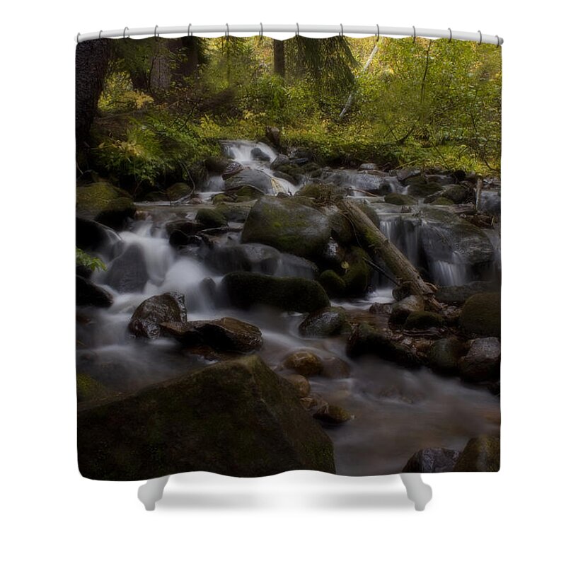 Colorado Shower Curtain featuring the photograph Early Autumn Cascades by Ellen Heaverlo