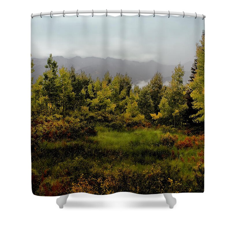 Kebler Pass Shower Curtain featuring the photograph Early Fall on Kebler Pass by Ellen Heaverlo