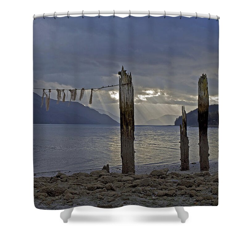 Treadwell Shower Curtain featuring the photograph Early Morning by Cathy Mahnke
