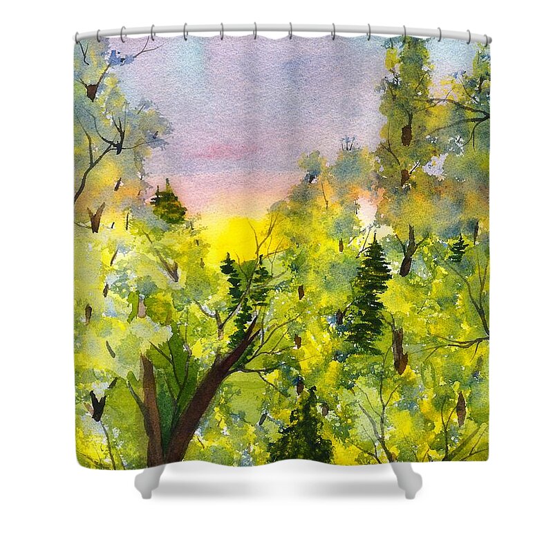 Morning Shower Curtain featuring the painting Early Morning by David Bartsch