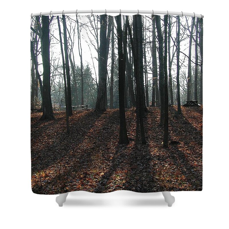 Early Morning Shower Curtain featuring the photograph Early Shadows by Joseph Yarbrough