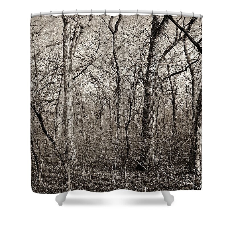 Arboretum Shower Curtain featuring the photograph Early Spring by Steven Ralser