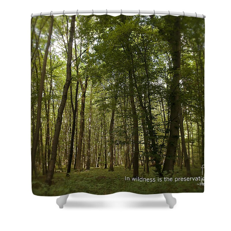 Photography Shower Curtain featuring the photograph Earth Day Special - In Wildness by Ivy Ho