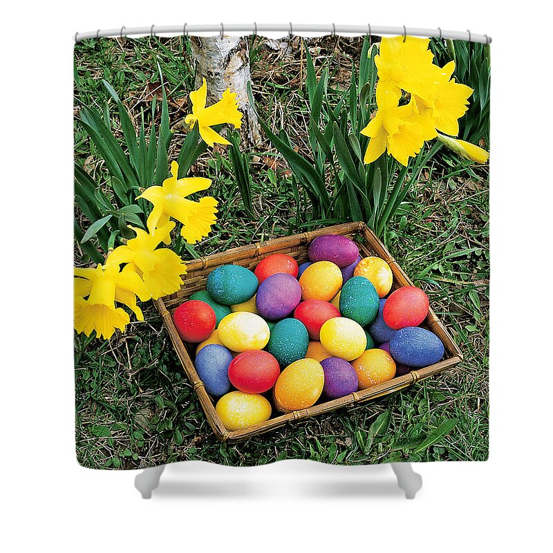 Easter Eggs Shower Curtain featuring the photograph Easter Eggs And Daffodils by Michael P Gadomski
