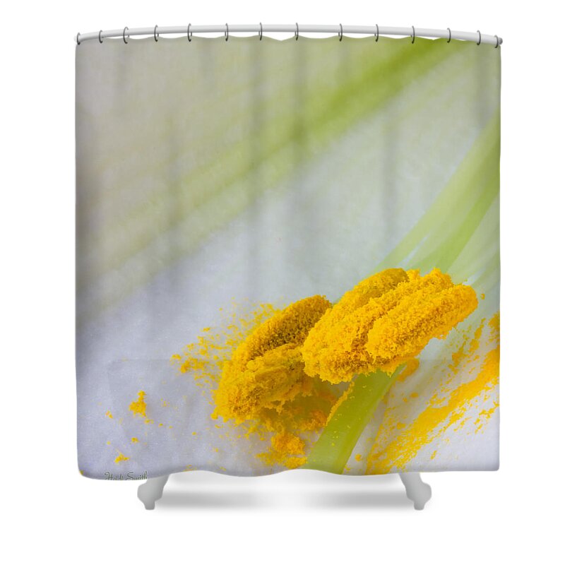 Yellow Shower Curtain featuring the photograph Easter Lily Macro by Heidi Smith