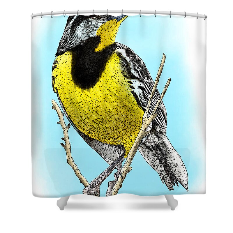 Eastern Meadowlark Shower Curtain featuring the photograph Eastern Meadowlark by Roger Hall
