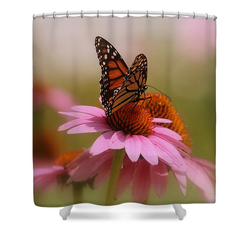 Macro Photography Shower Curtain featuring the photograph Easy Landing by Kay Novy