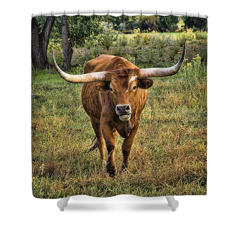 Longhorn Cattle Shower Curtain featuring the photograph Eat Leaf Not Beef by Priscilla Burgers