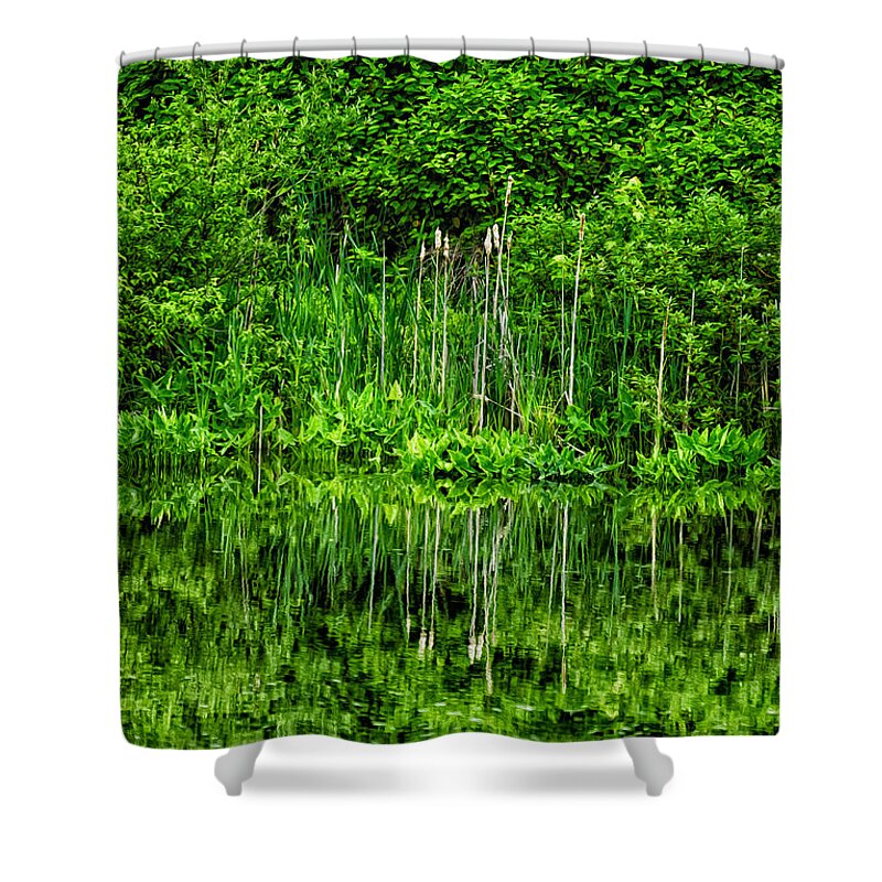 2010 Shower Curtain featuring the photograph Eden 38 Oil by Mark Myhaver