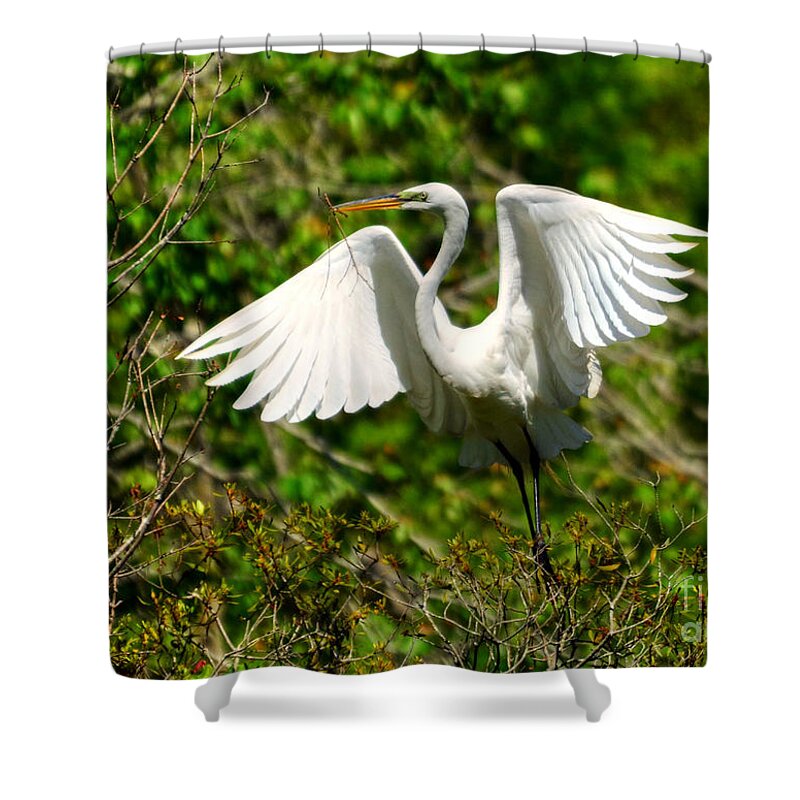 Egret Shower Curtain featuring the photograph Egret In Evenings Light by Kathy Baccari