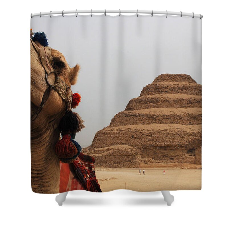 Egypt Shower Curtain featuring the photograph Egypt Step Pyramid Saqqara by Bob Christopher