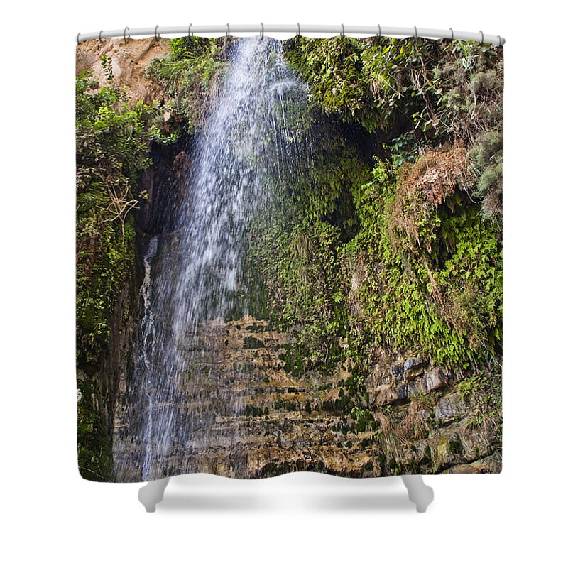 Israel Shower Curtain featuring the photograph Ein Gedi national park by Eyal Bartov