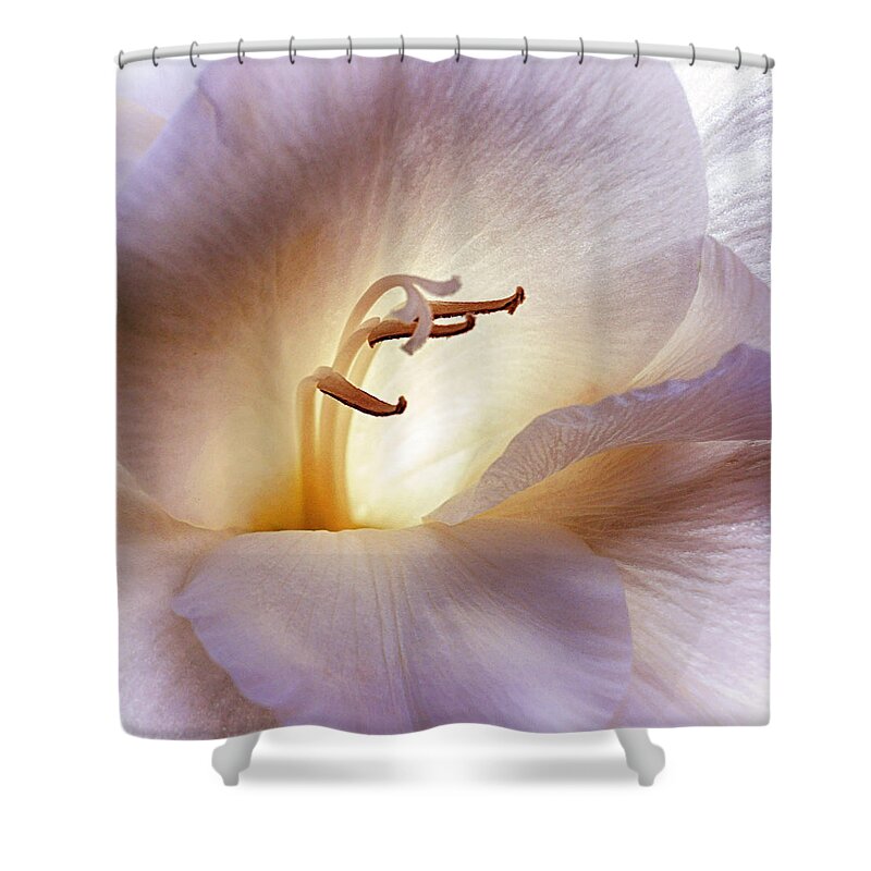 Floral Shower Curtain featuring the photograph Elan Vital by Darlene Kwiatkowski