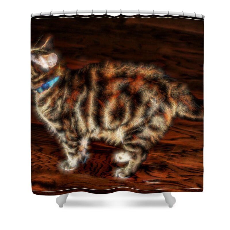 Electric Shower Curtain featuring the photograph Electric Kitty by Lucy VanSwearingen