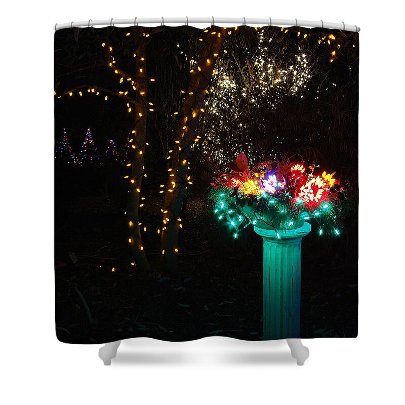 Fine Art Shower Curtain featuring the photograph Electric Still Life by Rodney Lee Williams