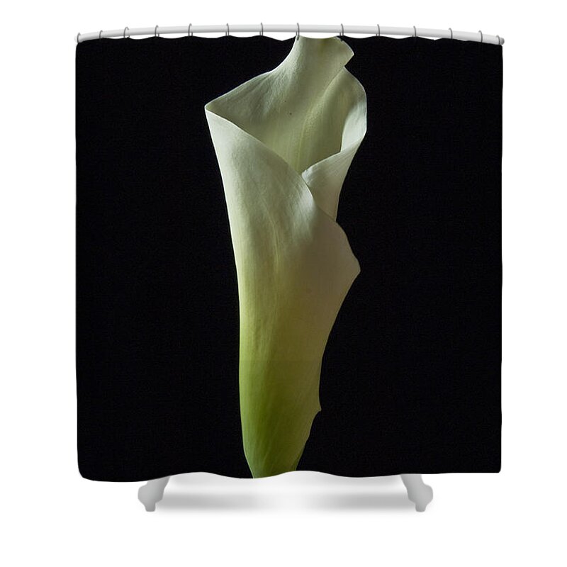 Cala Lilly Shower Curtain featuring the photograph Elegance Calla Lily by Ron White