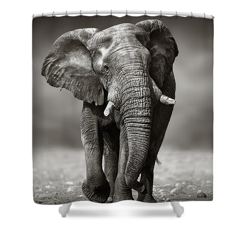 Elephant Shower Curtain featuring the photograph Elephant approach from the front by Johan Swanepoel