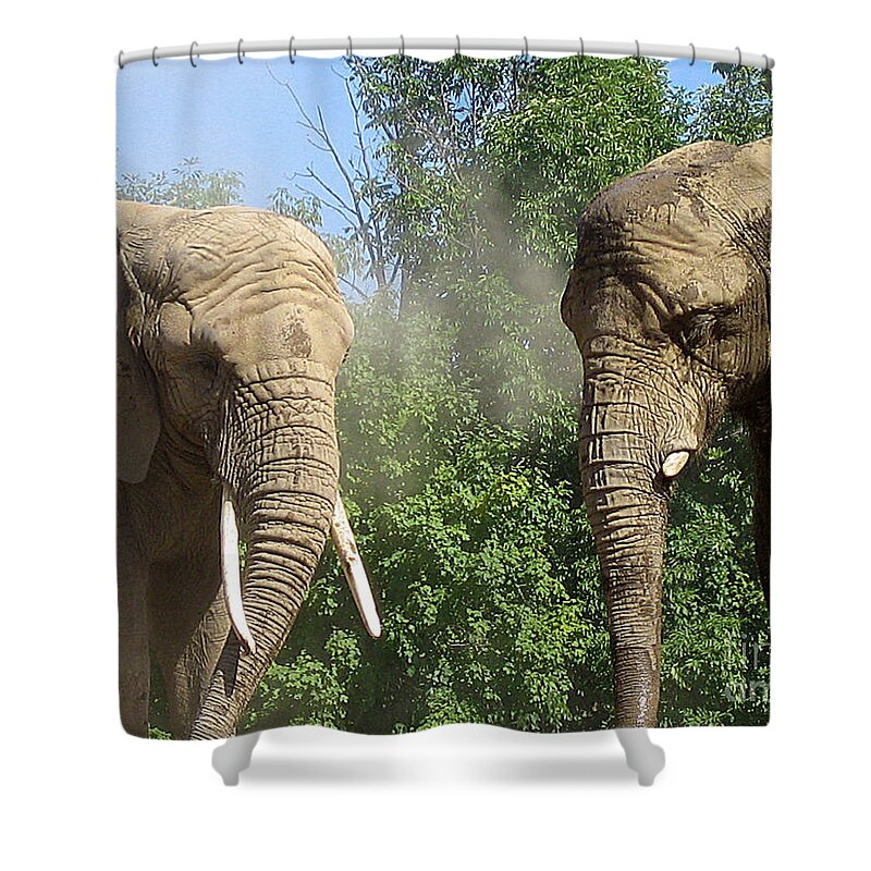 Elephants Shower Curtain featuring the photograph Elephants in the sand by Nina Silver